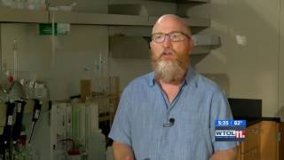 UT Professor discusses algae
