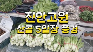 진안고원 5일장 풍경/배추/고들빼기/애호박/호박잎/표고버섯