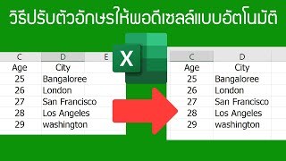 Excel วิธีปรับตัวอักษรให้พอดีกับเซลล์โดยอัตโนมัติ