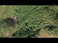 【静岡県伊豆半島の絶景】城ヶ崎海岸〜伊豆スカイラインの空撮映像