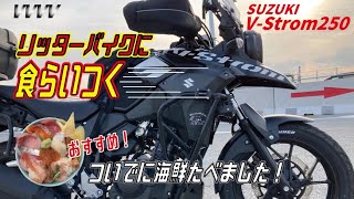 Vストローム250でマスツー！大型バイクと走るワインディングはついていけるのか？おすすめ海鮮丼も紹介！