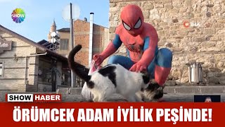 Örümcek Adam iyilik peşinde!