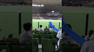 2024/6/12 西武ライオンズ隅田投手マダックス達成 #プロ野球 #埼玉西武ライオンズ