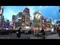 4k 東洋一の歓楽街 新宿歌舞伎町を歩く tokyo walk shinjuku kabukicho kabukicho 歌舞伎町 shinjuku 新宿