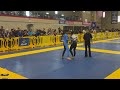 helena crevar vs eduarda franklin austin summer open no gi 2024