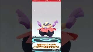 色違いのマクノシタをハリテヤマに進化させてみた！ #ポケモンgo #pokemongo #色違い #shorts