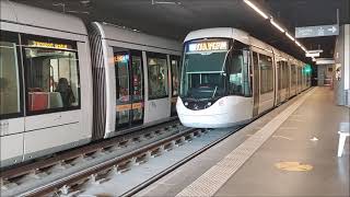 Rouen et sa ligne de tramway à deux branches