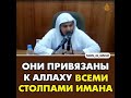 Всё счастье связано с Аллахом. Шейх Хамис аз Захрани (да хранит его Аллах).