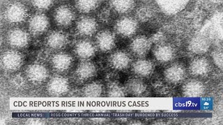 CDC reports rise in Norovirus cases