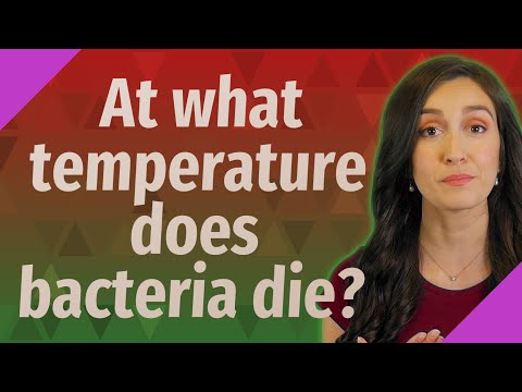 At what temperature do bacteria die?