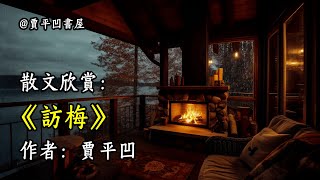 經典散文欣賞《訪梅》作者：賈平凹 #文學 #讀書 #閱讀 #asmr #曆史 #故事 #工作氛圍 #有聲書 #學習氛圍