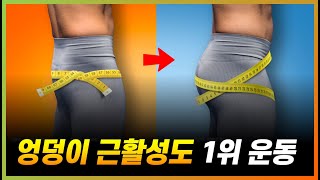 연구가 증명한 강력한 엉덩이 힙 운동 1위 ㄷㄷ 코어가 정말 강해집니다