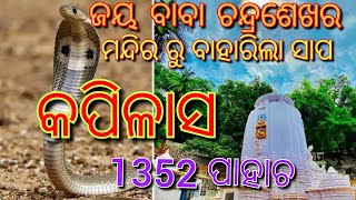 କପିଳାସ ମନ୍ଦିର ଢେଙ୍କାନାଳ/Kapilash Temple Dhenkanal/ମନ୍ଦିର ରୁ ବାହାରିଲା ସାପ@dharmanandasahoo5848