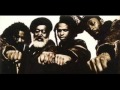 Steel Pulse - Not King James Version