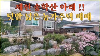 (NO.229) 제천 송학면 텃밭 넓은 농가주택 매매/총389평/ 제천 시내 가깝고 올수리 되어 신축같은 단독주택