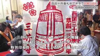 一日限定の御朱印授与「月参り巡礼」5月14日（日）三井寺にて斎行。西国三十三所草創1300年記念事業