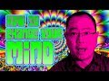 What a Long Strange Trip - How to Change Your Mind by Michael Pollan