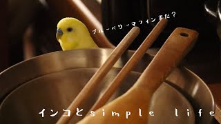 ブルーベリーマフィン/スマイルビスケット