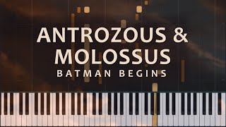 Antrozous and Molossus from Batman Begins by Hans Zimmer and James Newton Howard (Piano Tutorial)