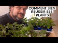 Pourquoi mes PLANTS en GODET ne poussent pas bien