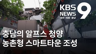 청양에 '농촌형 스마트타운' 조성 / KBS뉴스(NEWS)