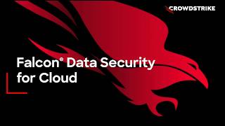 Cloud Data Security Without the Complexity | Falcon Data Security