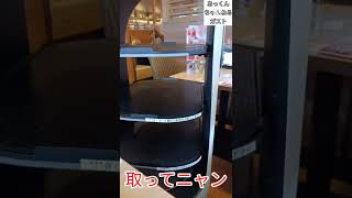 大阪 店員【ガスト】近未来 猫型 ロボット 配膳 猫 ファミリー レストラン  JAPAN'S Amazing serving Robot in GUSTO CAT Family Restaurant