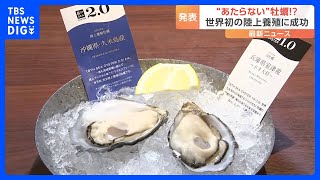 “食あたりしない”牡蠣　世界初「完全陸上養殖」で実現　世界展開も視野｜TBS NEWS DIG