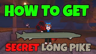 How To Get *SECRET* LONG PIKE IN FISCH