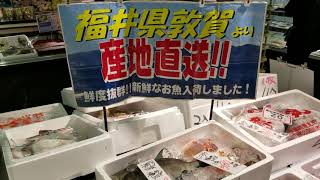 小牧市　食品スーパー　朝採れ！新鮮！鮮魚！