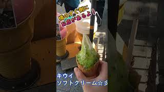 錦帯橋サクッと観光☆彡 #vlog #錦帯橋 #岩国城 #山口観光 #岩国観光 #旅行vlog