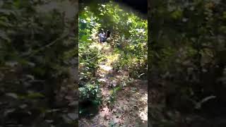 Jungle Caught Redhanded Desi Outdoor