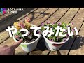 【ガーデニング初心者】素敵なお花がやってきた！世界展で購入したパンジービオラを紹介します！