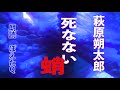 【不死の存在とは？】　萩原朔太郎　「死なない蛸」（1939年『宿命』所収）パブリック・ドメイン　only audio