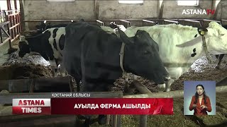 Қостанайда шалғайдағы ауылда сүт фермасы ашылды