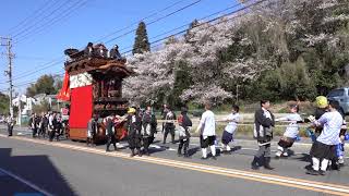 常滑祭・常滑地区祭礼2019 MAH00523瀬木「世楽車」さくら