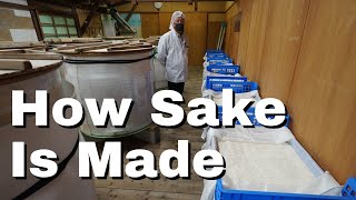 Learning How Sake is Made at Nabedana Brewery in Chiba Japan