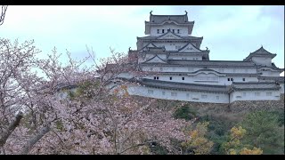 世界遺産！姫路城の魅力をドローンで大公開！