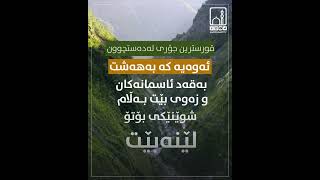 قورسترین جۆری لەدەستچوون کامەیە؟!