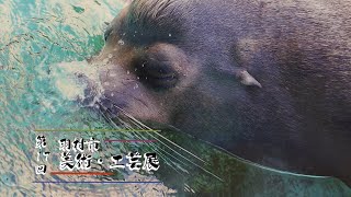 第17回 羽村市美術・工芸展 2期