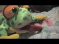 Ribbit Show Movie