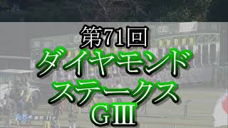 第71回 ダイヤモンドステークス GⅢ 【2021/2/20】