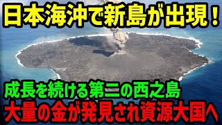 【海外の反応】「日本が世界一の資源大国に!?」第2の西之島誕生か⁉脅威の速度で成長する「明神礁」に世界が驚愕！→日本が海域拡大により海底資源を独占！