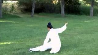 WUDANG Five (5) Animal QIGONG by Wudang Sifu Kedi Pan !