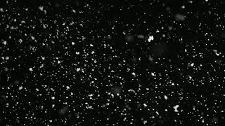 Stormy Weather, Snow Falling, Medium Size Snowflakes Isolated on Black Background. | Stock Footage