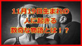 【運命】11月19日生まれの人に起きる数奇な物語とは！？(誕生日、占い、運勢)