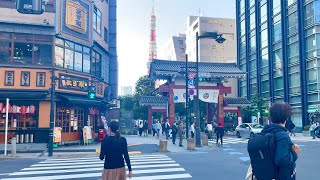 【4K】walking to Tokyo Tower - walk through a beautiful temple in Tokyo Japan 増上寺から東京タワーまでお散歩