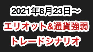 【2021年8月23日～】今週の振り返りと来週のトレードシナリオ