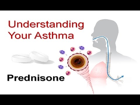 Understanding Your Asthma Part 5: Prednisone Understanding Your Asthma Part 5: Prednisone