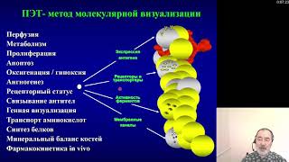 Лучевая диагностика 8. Позитронно-эмиссионная томография - возможности клинического применения